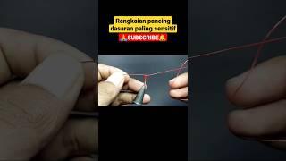 RANGKAIAN PANCING DASARAN UMPAN UDANG HIDUP PALING SENSITIF #shorts