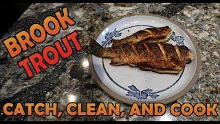 Brook Trout Catch Clean and Cook - Northern Michigan Trout Fishing