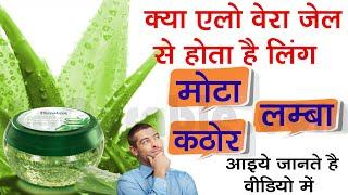 लिंग पर एलो वेरा जेल की मालिश से क्या होता है  Ling Par Aloe Vera Gel Ki Malish Se Kya Hota Hai