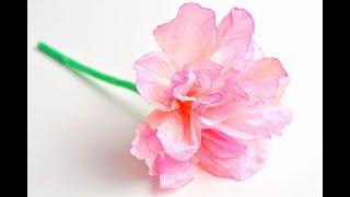 Easy Coffee Filter Flowers  How to Make Coffee Filter Flowers