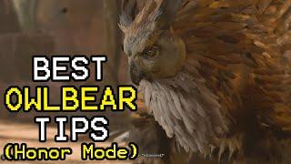 How to Beat the Owlbear in Baldurs Gate 3 HONOR MODE