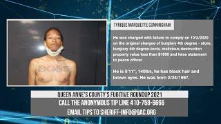 Queen Annes Countys Fugitive Roundup 2021