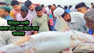 টাকার কোন মূল্যই নেই নদীর মাছ খাওয়াটা এখন স্বপ্ন অনেকেরই। today fish market  Dhaka Dohar maghula.