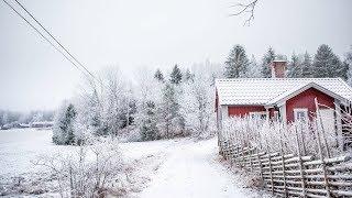 ▷ MY SWEDISH CHRISTMAS DECORATIONS  DECORATING MY HOME  VLOG #24