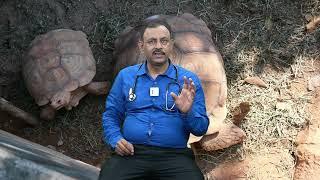 कछुओं के छोटे बच्चों को खाने में क्या दे  Turtle Tortoise  Dr Nagender Yadav