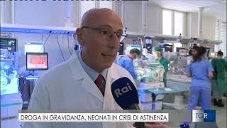 Intervista al Presidente SIN Prof. Fabio Mosca sulla crisi dastinenza del neonato - TGR Lombardia