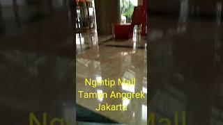 Ngintip Mall Taman Anggrek Jakarta