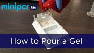 How to Pour a Gel  miniPCR bio™