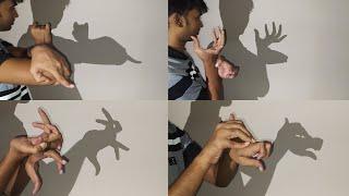 Hand Shadow Performance  Shadow Animals