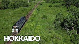 Trains of Hokkaido from the air