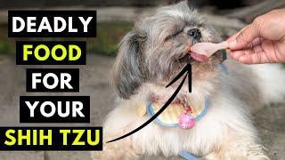 15 Most Toxic Table Scraps For Your Shih Tzu - Never Feed This