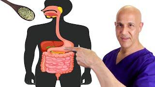 Natures Tiny SEED That Heals Digestive Problems Gas Bloating Acid Reflux  Dr. Mandell