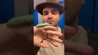 Pooby EATS a giant caterpillar  #sml #comedyshort #funny