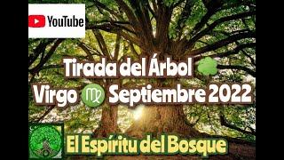 Tirada del árbol VIRGO SEPTIEMBRE 2022