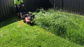Mowing tall grass perfectly Satisfying