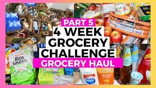 Part 5 - Grocery Haul PART 1 Woolworths - JUNE 4 WEEK GROCERY HAUL