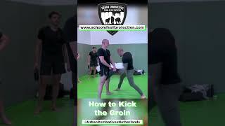 How to kick the groin