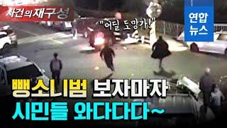 양심불량 음주뺑소니범…발 빠른 제주시민 손에 덥석 연합뉴스 Yonhapnews