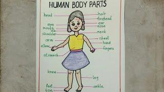 Draw and label body parts of humaneasy drawing  Science drawing