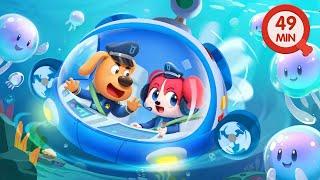 Sheriff Labrador Meets Jellyfish  Safety Tips  Cartoons for Kids