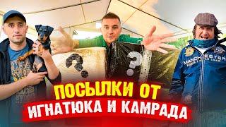 ПОСЫЛКИ ОТ ВИТАЛИКА ИГНАТЮКА И КАМРАДА Что там ?