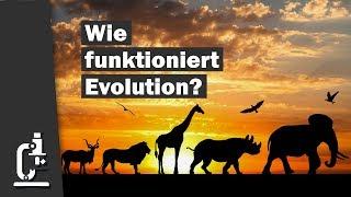 Wie funktioniert Evolution? Evolution - Ein kritisches Lehrbuch  Dr. Reinhard Junker