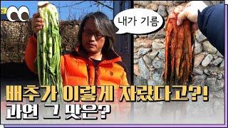 토종배추와 사랑에 빠진 이동호씨 본방을보자_광주MBC_2022.03.31