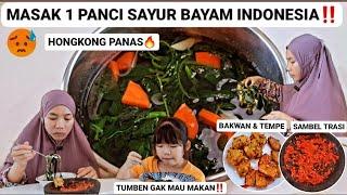 BOSAN MASAKAN INDONESIA‼️Masak 1 Panci Sayur Bayam Genevieve Malah Gak Mau Makan