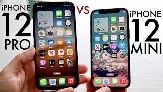 iPhone 12 Pro Vs iPhone 12 Mini In 2024 Comparison Review