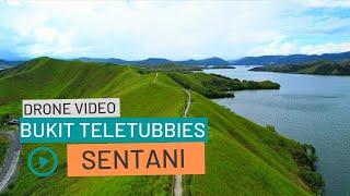 BUKIT TELETUBBIES SENTANI JAYAPURA PAPUA  DRONE VIDEO