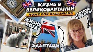 Воскресеные болталкимедицина и рынок труда в UK жирный Филя