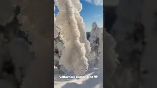 Winter hiking trail in Ruka-Kuusamo  #rukakuusamo #visitfinland #visitlapland  #coordinatesofnature