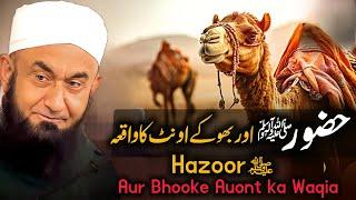 Hazoor Pak SAW aur Bhooke Auont ka Waqia   Bayan by Molana Tariq Jameel