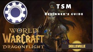 TSM Addon Guide 2024- Getting Started with TradeSkillMaster TSM Beginners Guide wow dragonflight