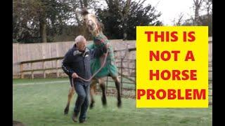 How to Make A Dangerous Horse - Not A Horse Problem - Understanding Pressure & Release Of Pressure