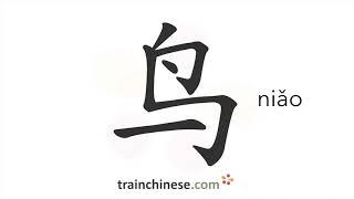 How to write 鸟 niǎo – bird – stroke order radical examples and spoken audio