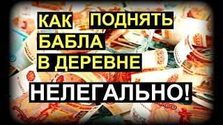 5 способов заработать в деревне нелегальноДом в деревнеКак сделать