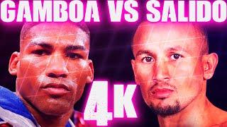 Yuriorkis Gamboa vs Orlando Salido Highlights 4K