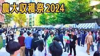 Nodai Open & Harvest Festival 2024 at Tokyo University of Agriculture in Setagaya-ku 𝕋𝕠𝕜𝕪𝕠 𝕁𝕒𝕡𝕒𝕟