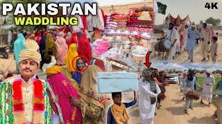 Saraiki ShadiPakistan Village WeddingCholistan WeddingGaon Ki ShadiBaraatWalema