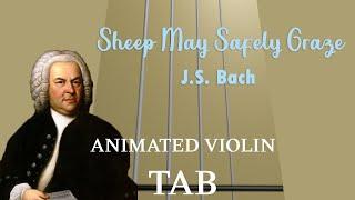 Sheep May Safely Graze J. S. Bach - Animated Violin Tab