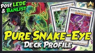 Pure Snake-Eyes Deck Profile + Hand Loop Combo  Post Ban List & LEDE  April 2024  Yu-Gi-Oh