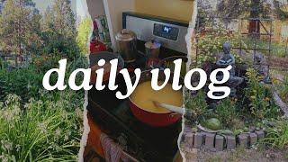 Daily Life Vlog #10deep cleaninglife thoughts