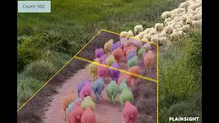 Computer vision app counts sheep without sleep