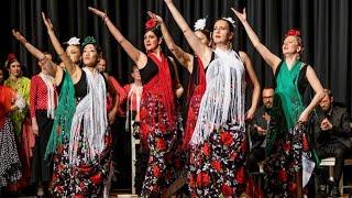 Trailer FIESTA FLAMENCA 2018 der Akademie für Flamencokunst Düsseldorf #dance #flamenco #fun