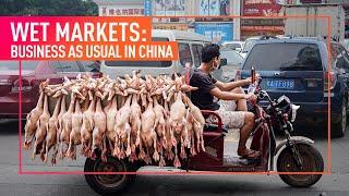 INVESTIGATION Animal Equality Reveals Chinas Wet Markets Continue to Operate