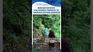 Viral Sendirian di Tengah Hutan Angker Yogyakarta Bocah SD dan Keluarga Bertahan di Kampung Mati