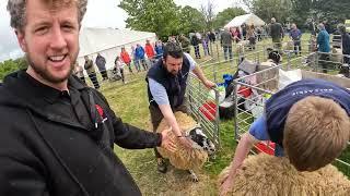 SHEEP SHOW AND A TUG OF WAR    Fife Show 2022