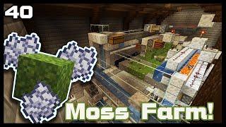 Solving my Moss problem +Bone-meal