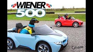 WIENER 500 - Wiener Dogs in Racing Cars